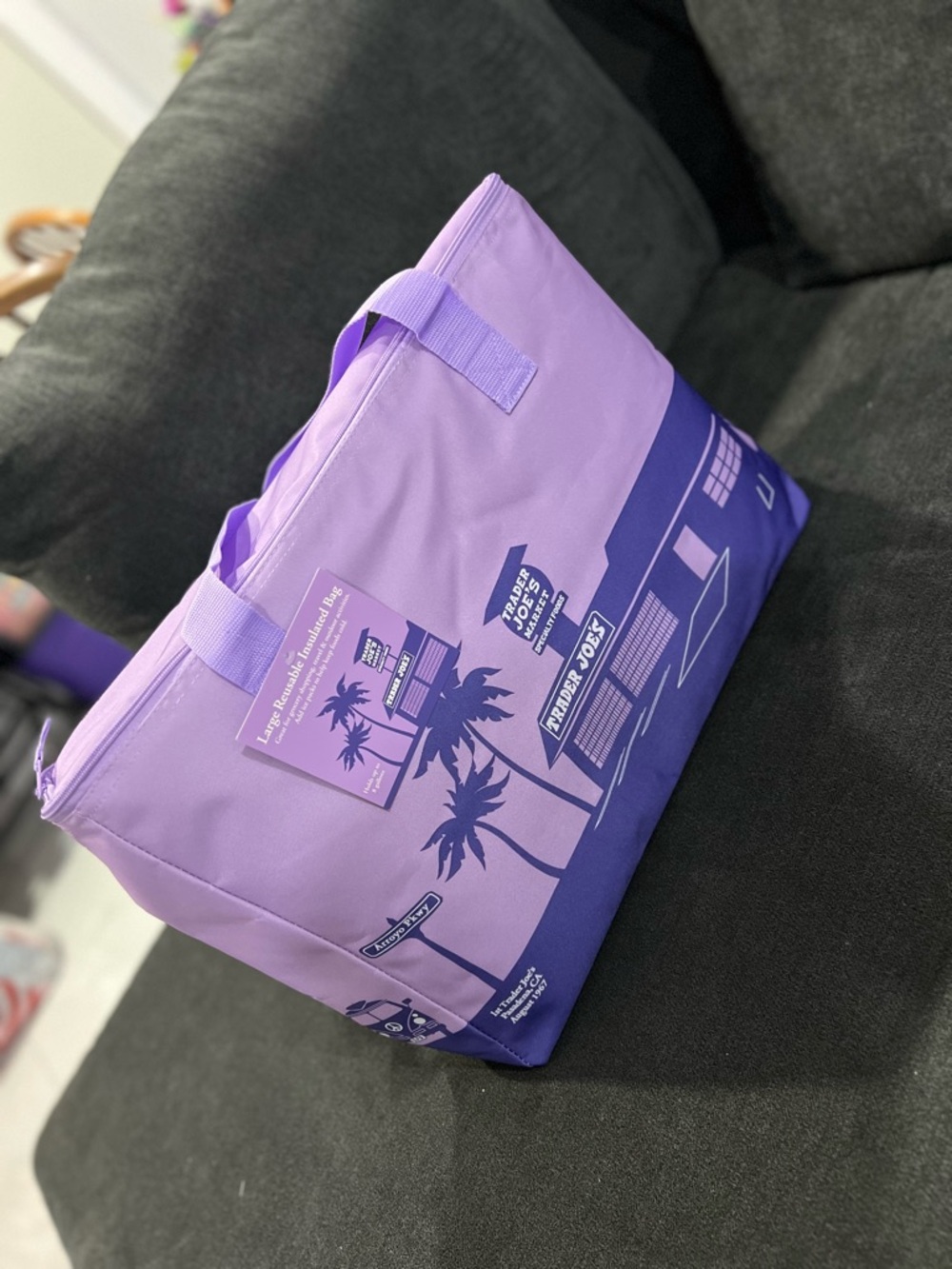 Trader Joe’s Large Insulated Tote Bag